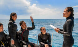 DiveMaster