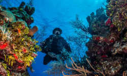 Master Scuba Diver