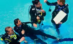 Assistant Instructor
