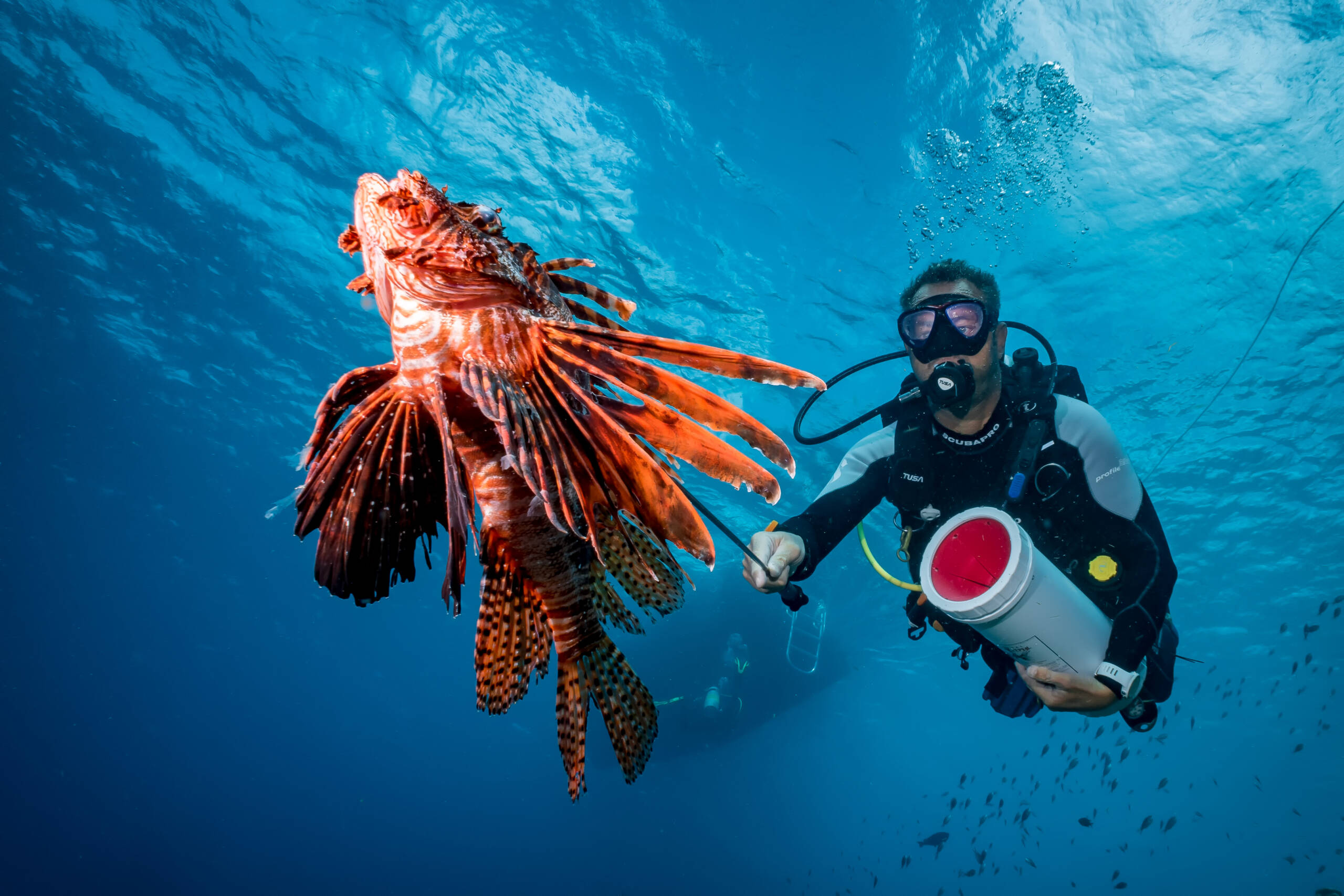 Lionfish Hunter