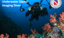 Underwater Digital Imaging Diver